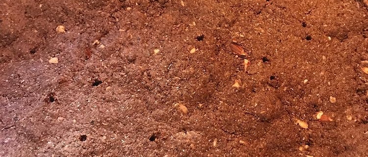 Torta “sbriciolona” senza glutine